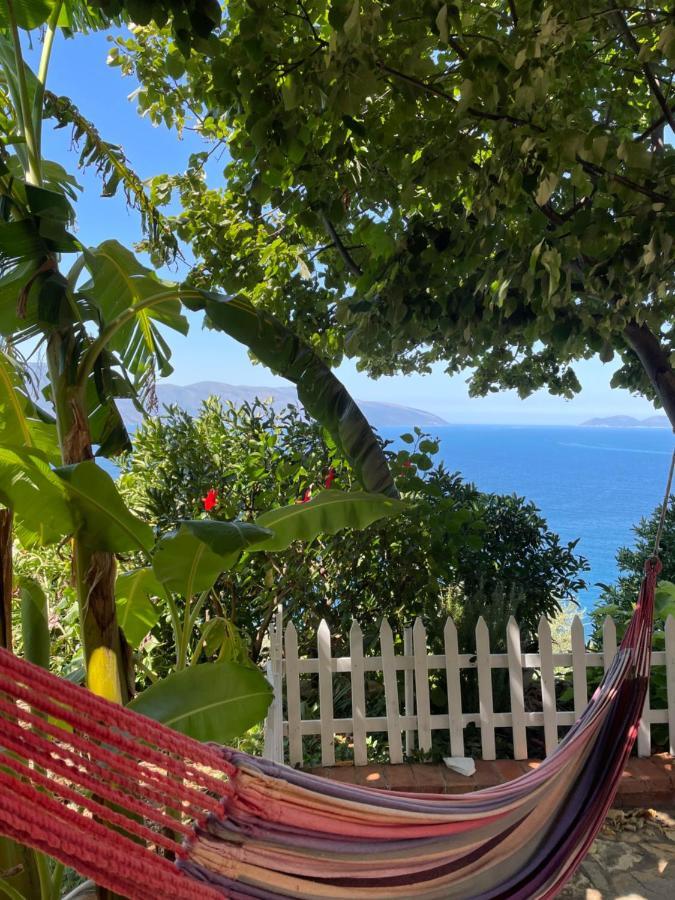 Vila Pashaj Vlorë エクステリア 写真